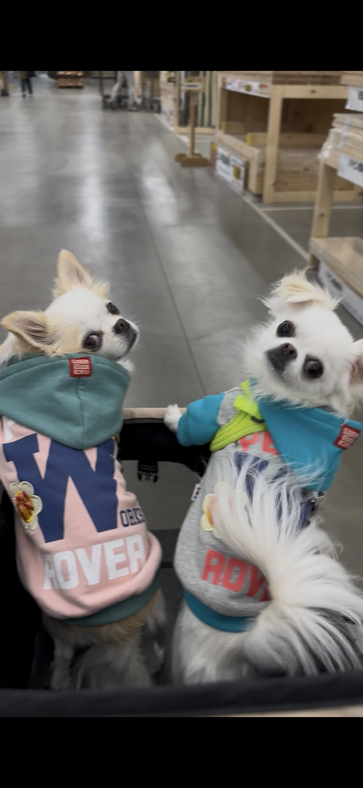 在庫処分！早い者勝ち！新車　札幌引取限定　エイチリーダ　ブルー 宇都宮マラソン | 栃木トヨタ